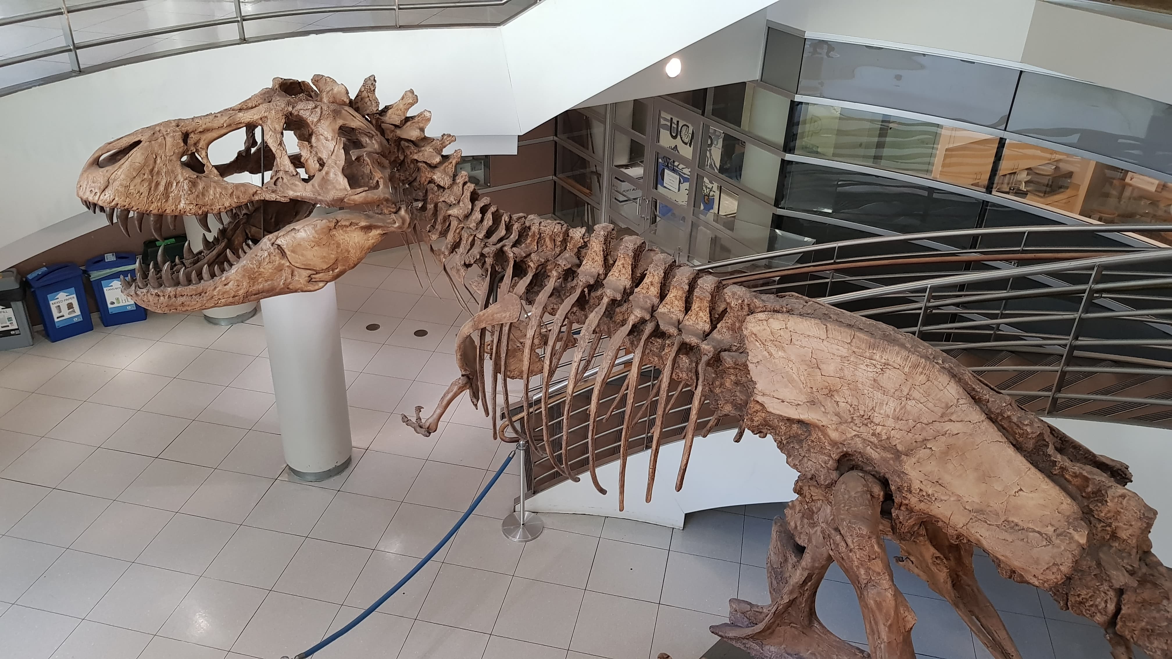 44904954_1104281146403231_3730170326252781568_n