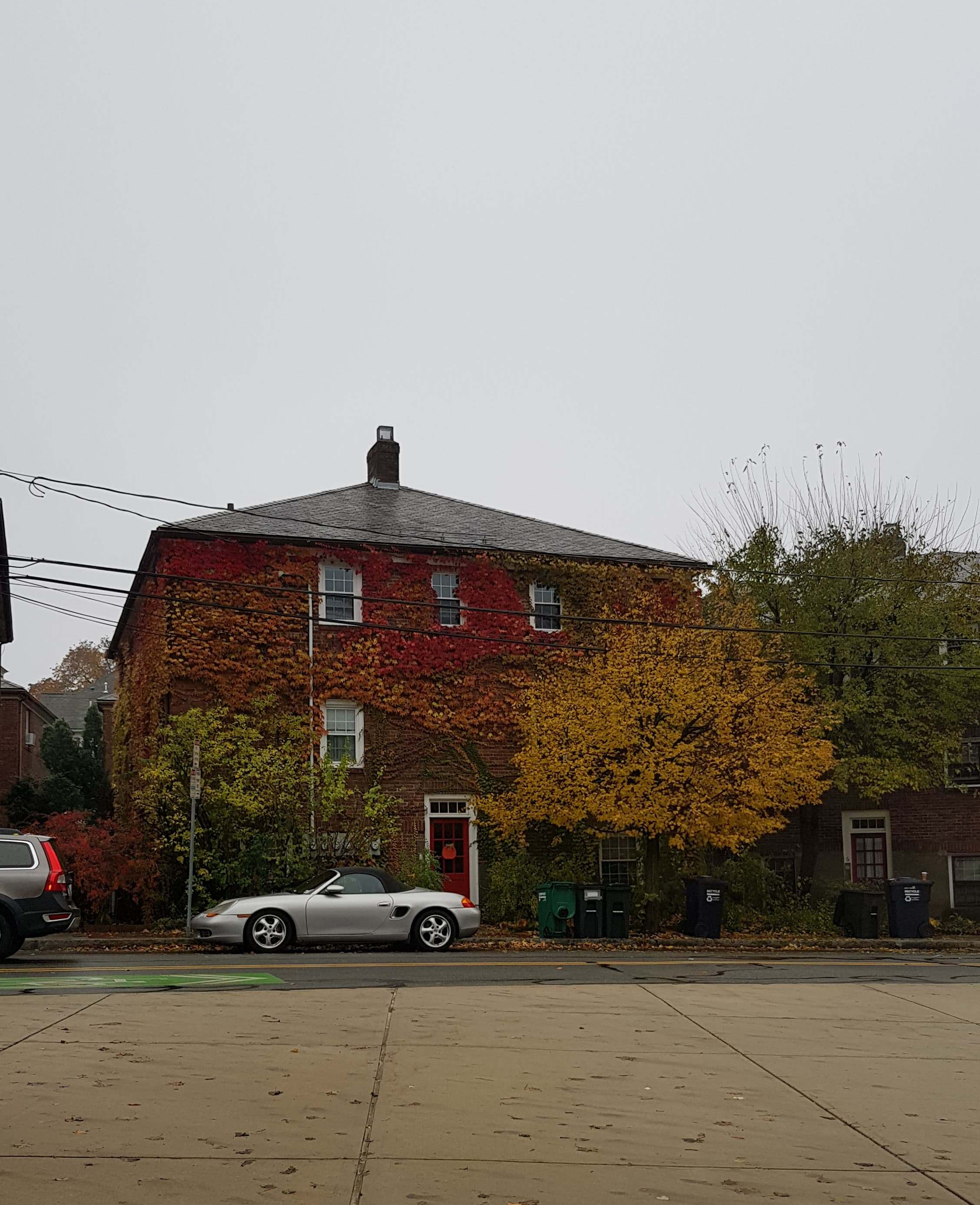 45636887_315179889071073_2675595279142486016_n